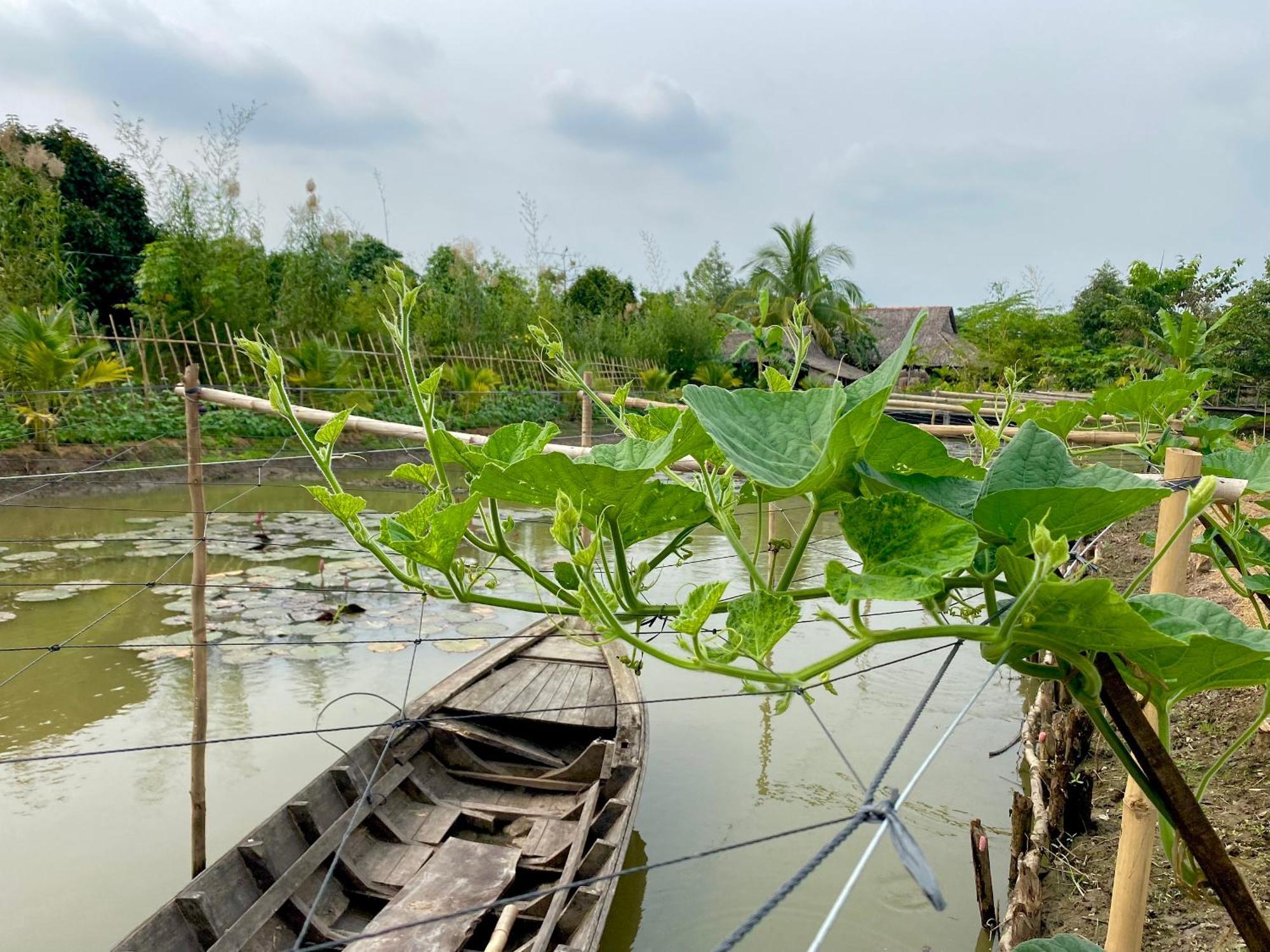 Mekong Silt Ecolodge Can Tho Exteriér fotografie